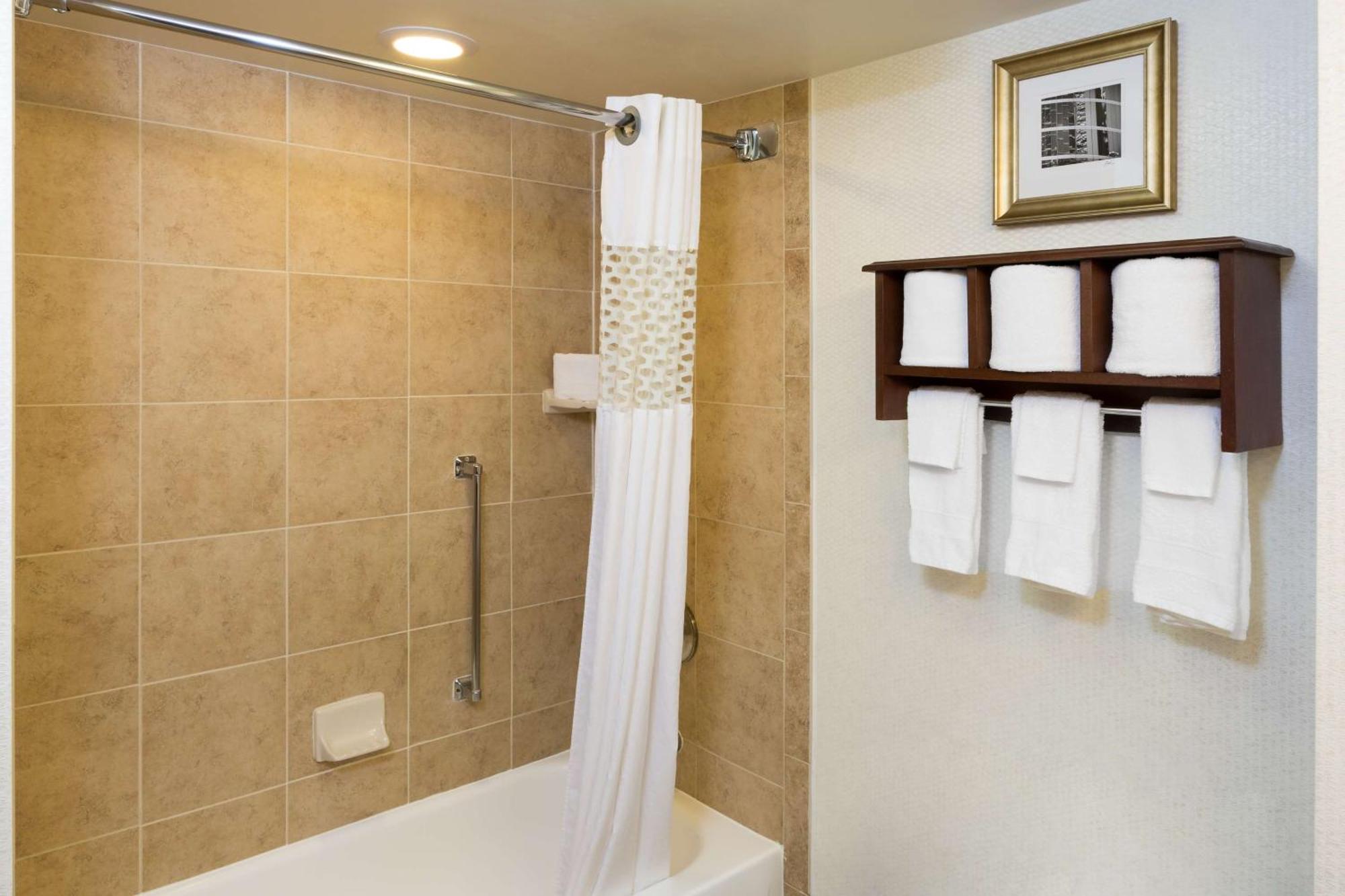 Hampton Inn Houston Near The Galleria Eksteriør bilde